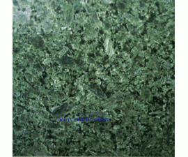 chon da hoa cuong xanh nam mỹ chon da hoa cuong xanh nam mỹ