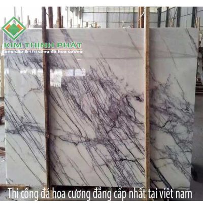 Đá hoa cương 139 Đá hoa cương 139