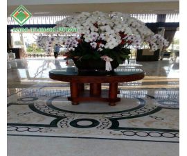 Đá hoa cương 160 giá đá granite mới nhất số 446 Đá hoa cương 160 giá đá granite mới nhất số 446